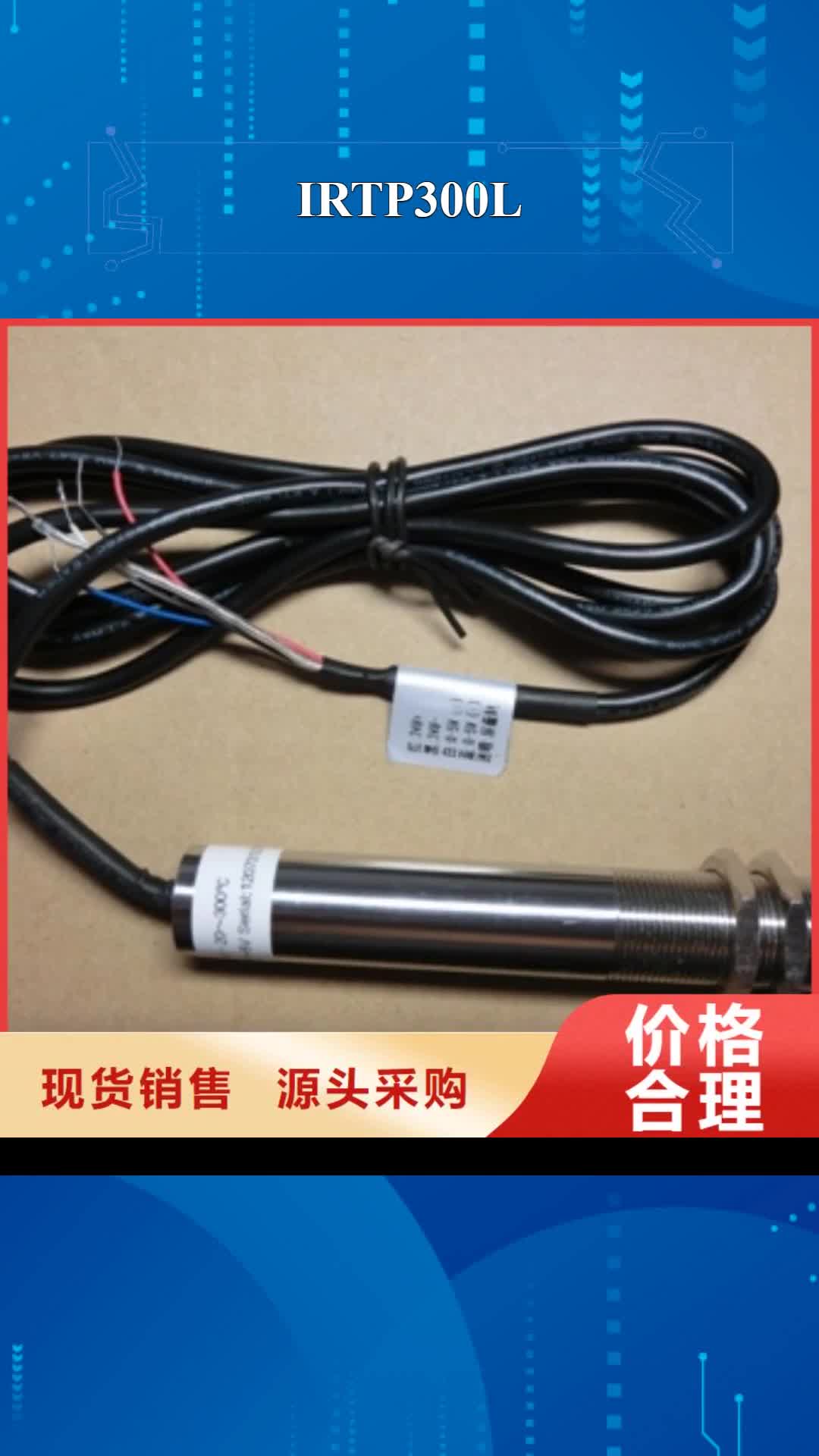 【宣城 IRTP300L 吹扫装置精工细作品质优良】