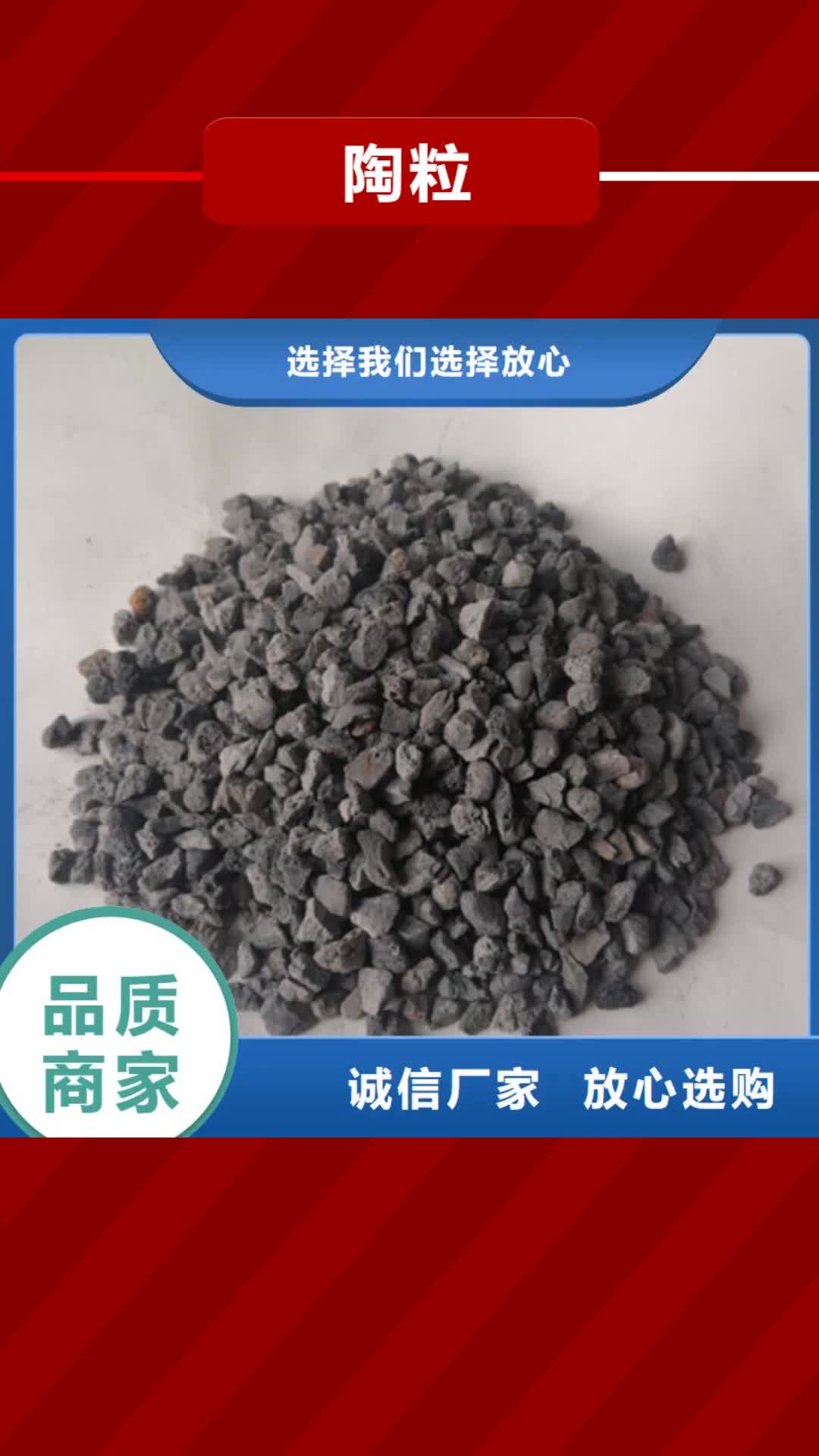 绥化【陶粒】 蜂窝斜管填料 用途广泛