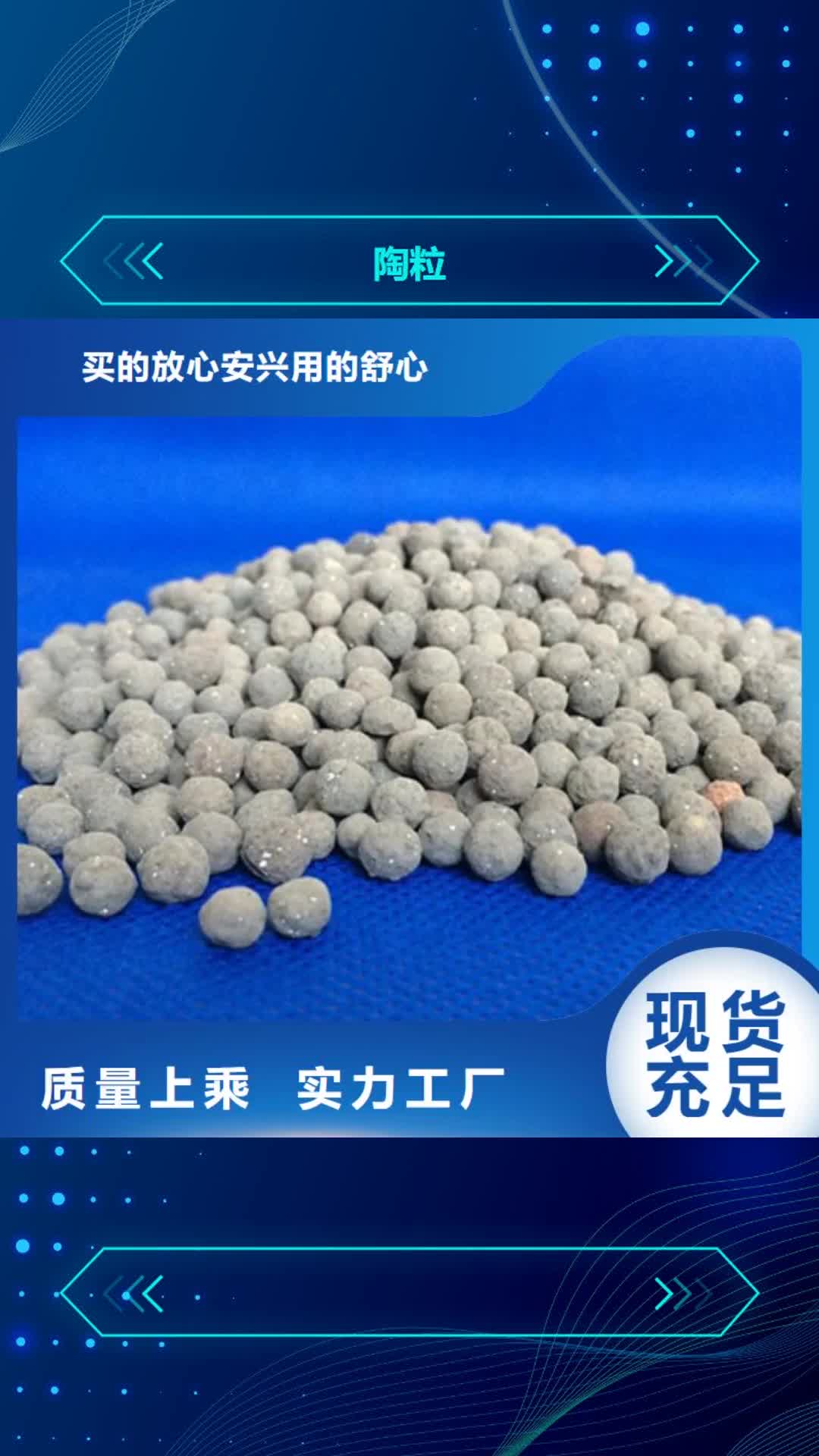 眉山 陶粒_【椰壳粉末活性炭】一站式供应