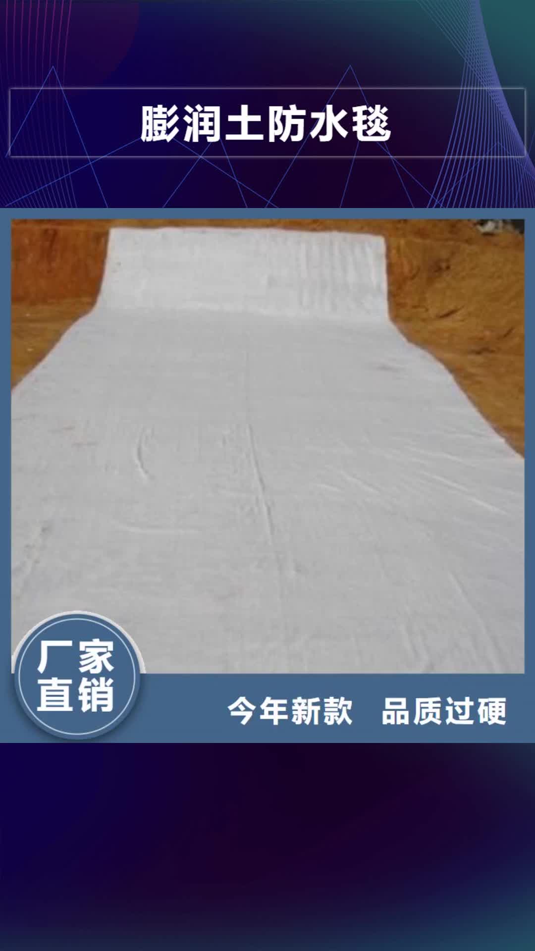 桂林【膨润土防水毯】 毛细排水板厂家售后完善