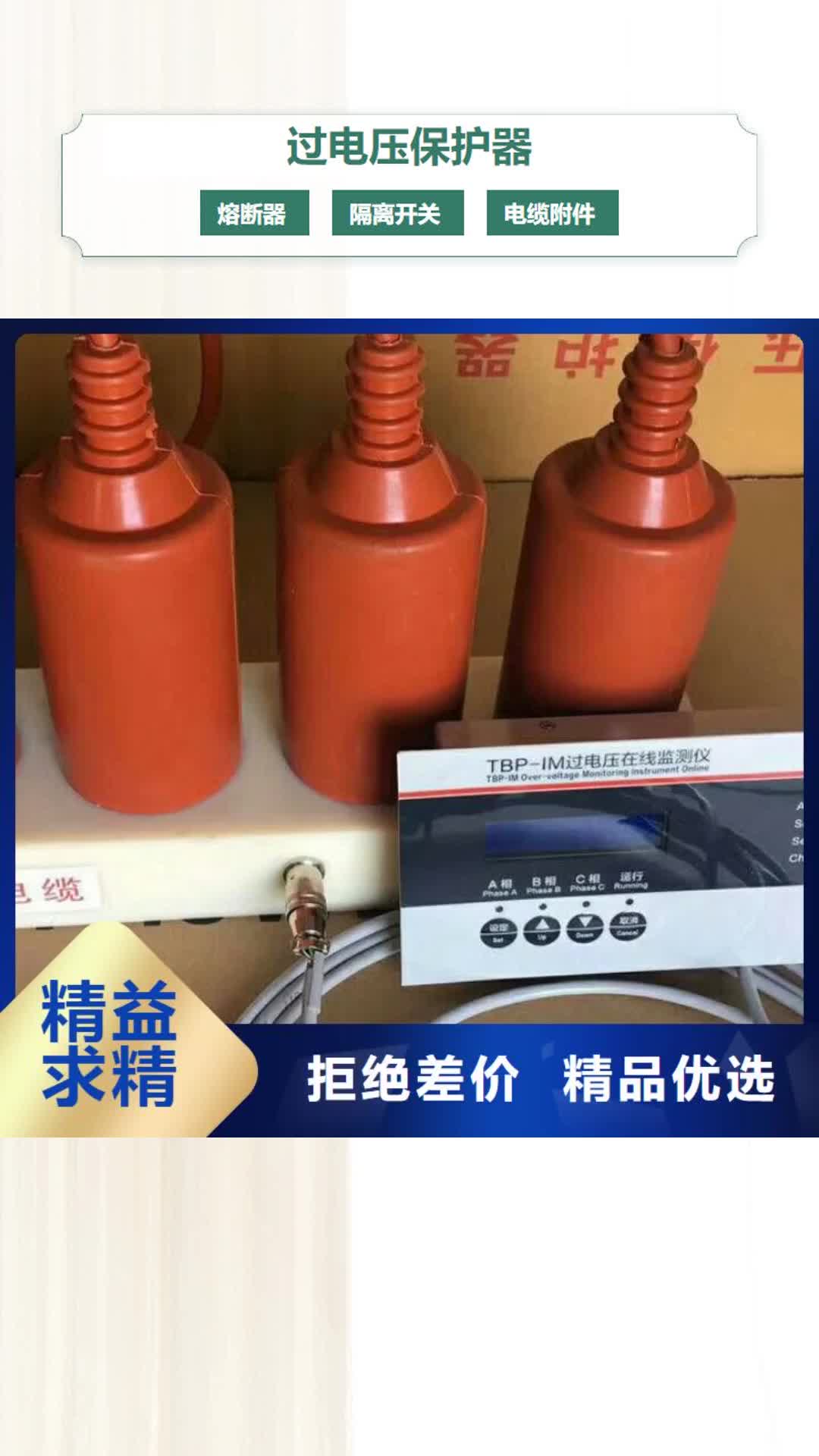 亳州过电压保护器绝缘子厂家品质保障售后无忧