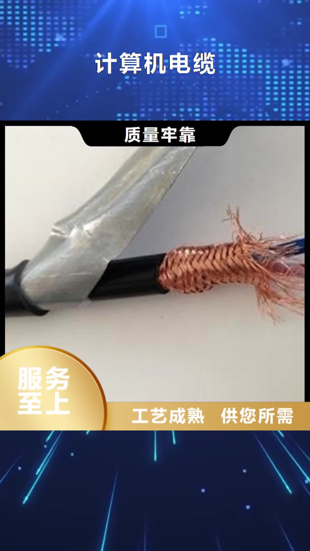 成都【计算机电缆】矿用电缆好品质经得住考验