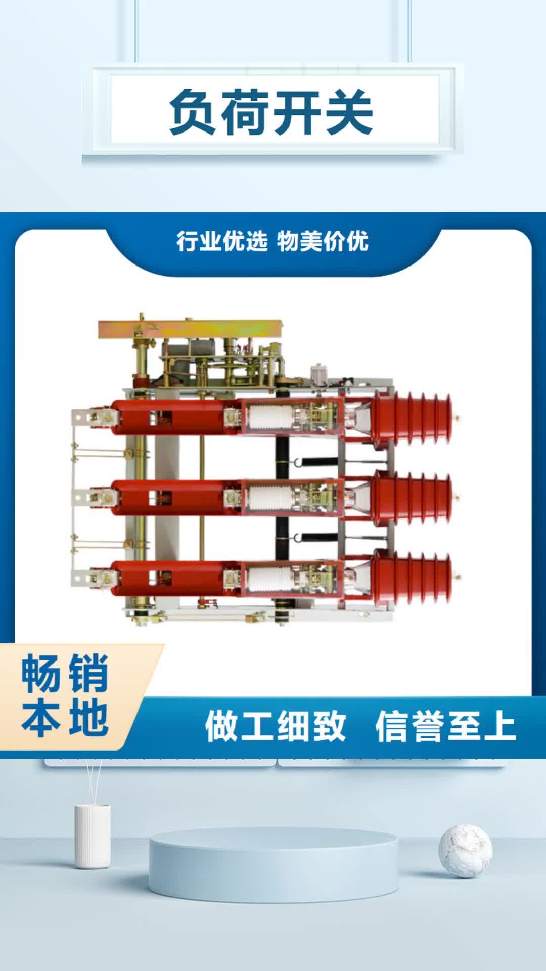 海南【负荷开关】_真空断路器品质优选