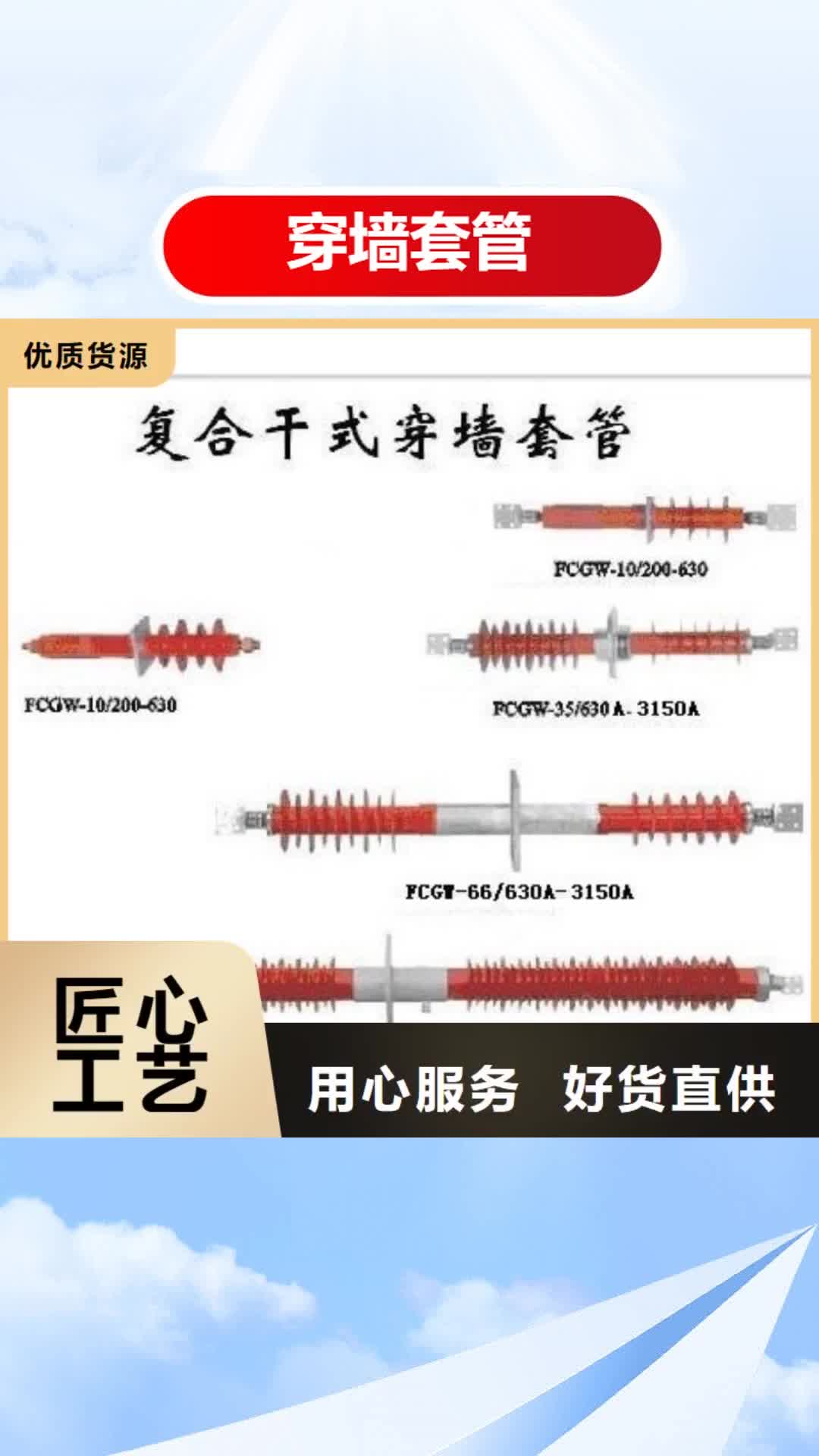 临夏穿墙套管限流熔断器质量无忧