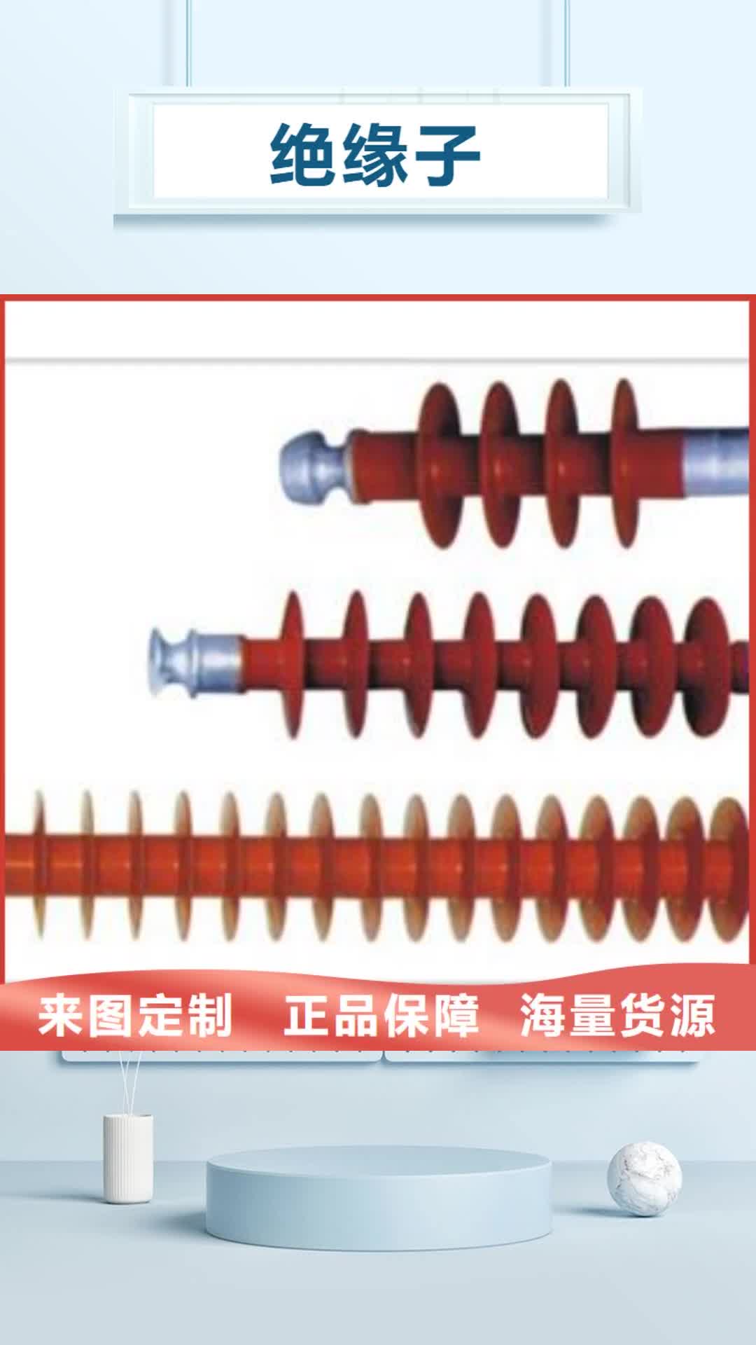 鄂尔多斯绝缘子限流熔断器行业优选