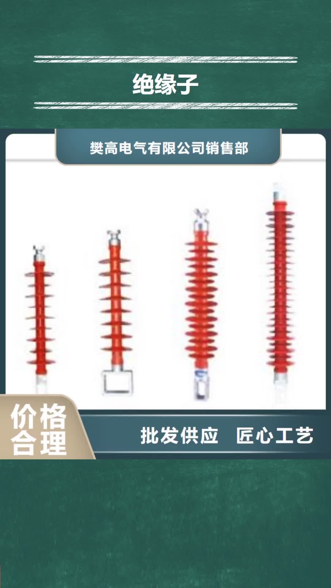 辽源绝缘子穿墙套管快速发货