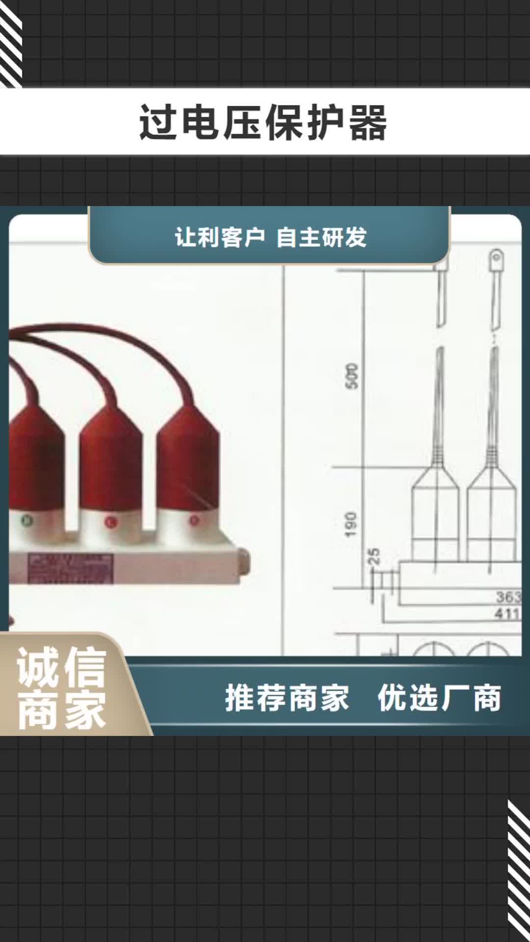 【大同过电压保护器-真空断路器厂家型号齐全】