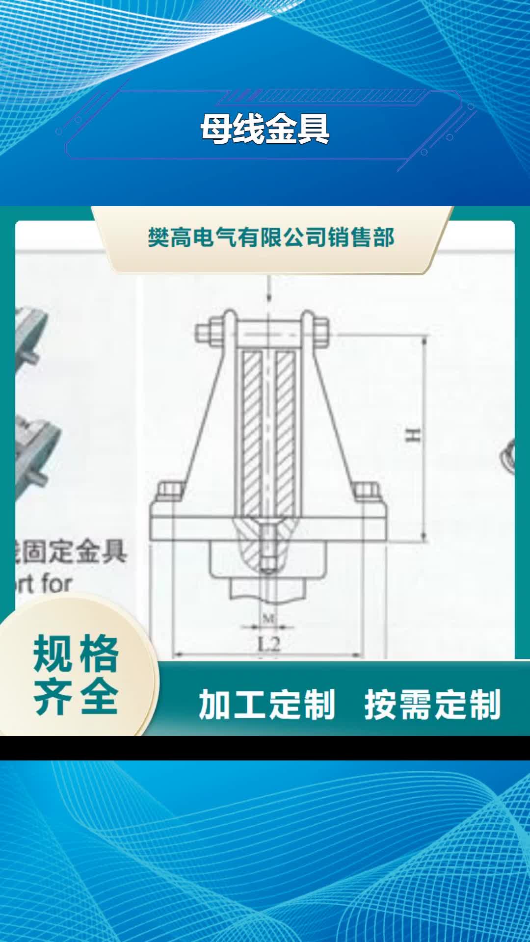 【孝感母线金具_跌落式熔断器支持货到付清】