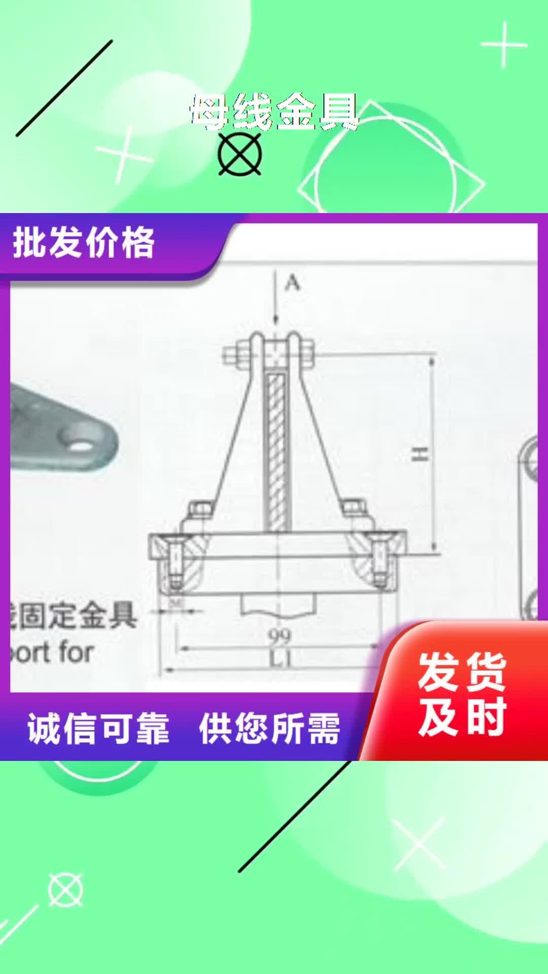 【榆林 母线金具氧化锌避雷器质量无忧】